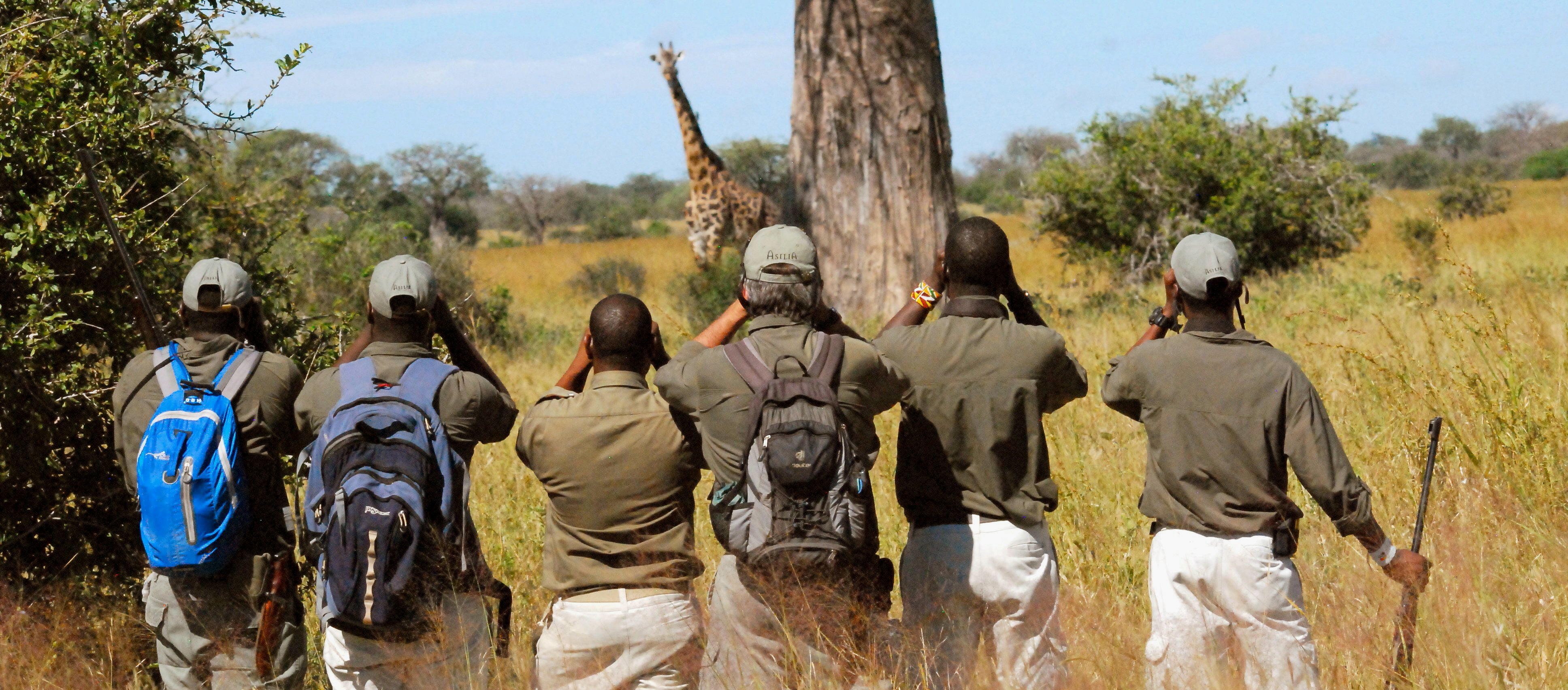 safari live guides leaving